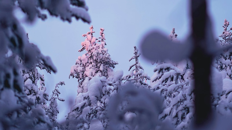 Danske Webinaari: Talouden ja sijoitusmarkkinoiden näkymät