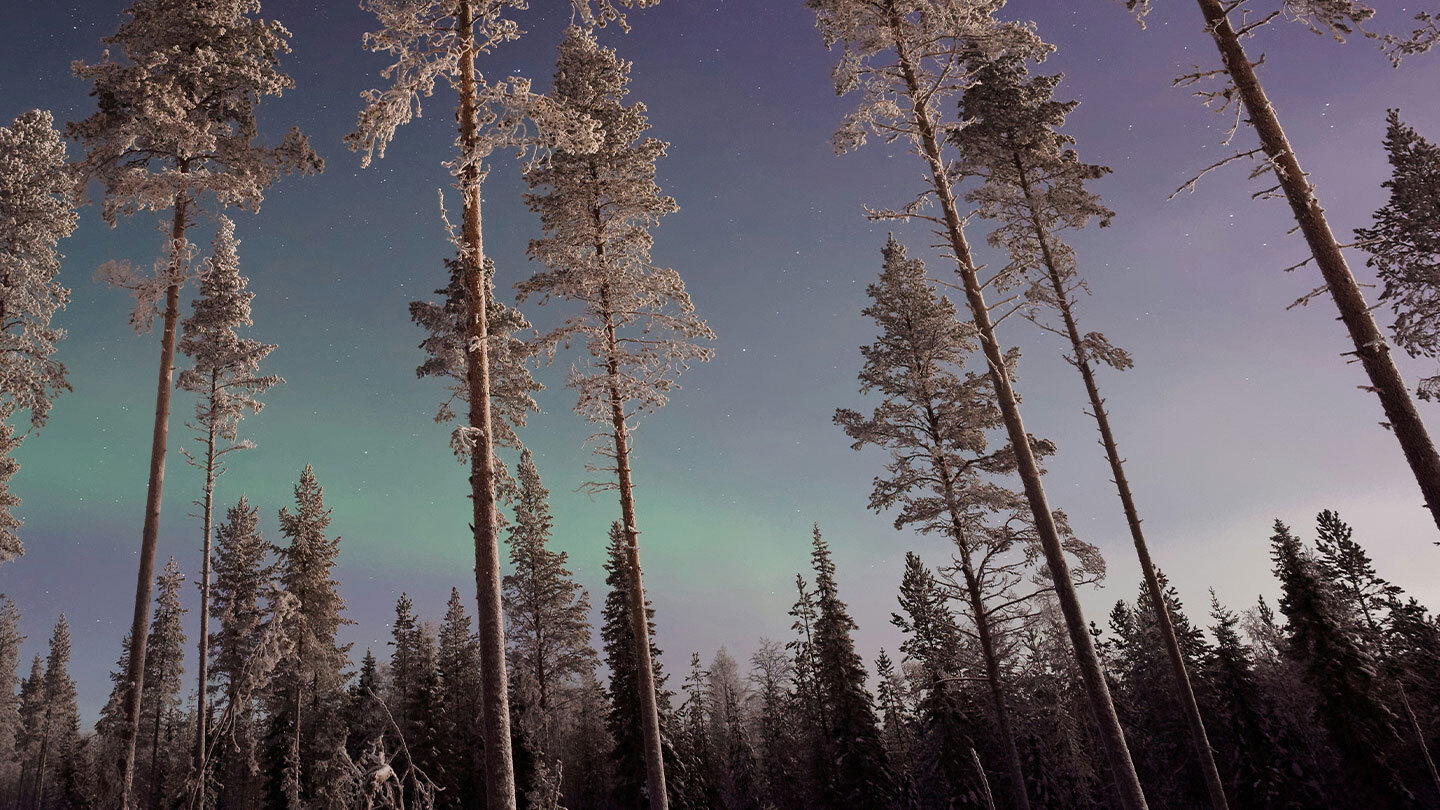 Dansken webinaari: Varainhoitokatsaus – salkunhoidon ja sijoitusmarkkinoiden keskeiset teemat